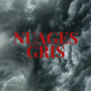 Pochette du single Nuages gris